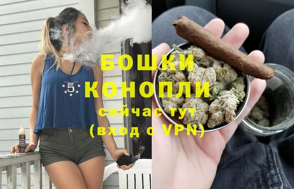 стаф Козловка