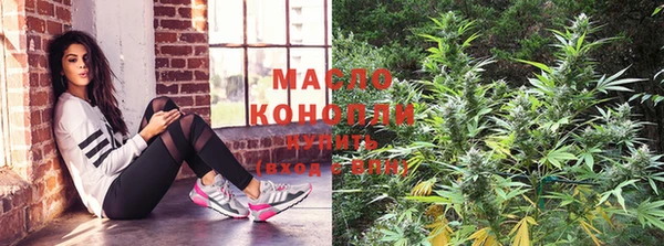 стаф Козловка