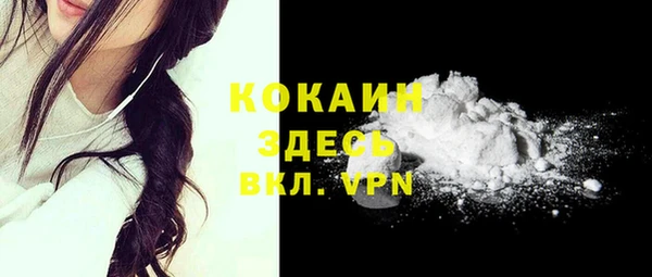 стаф Козловка