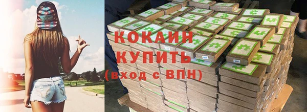spice Козельск