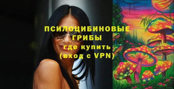 стаф Козловка