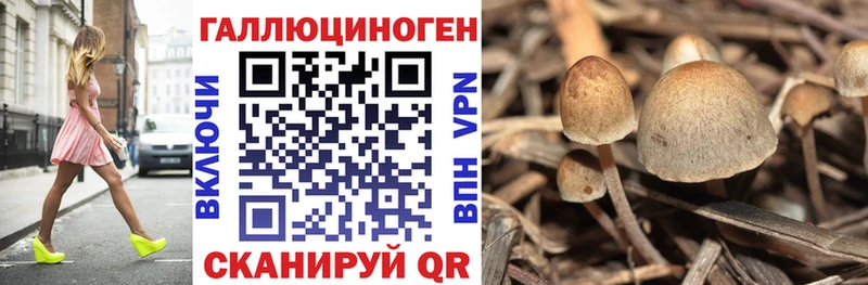 Псилоцибиновые грибы мицелий Майский